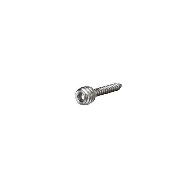 Stainless Steel Combination Screw 5/16-18 Threaded, Length: 1''