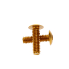 Gold Anodized Aluminum Bolt 1/4-20 Thread, length 7/8'', 5/32'' Hex Broach