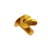 Gold Anodized Aluminum Bolt 5/16-18 Thread, Length 7/8'', 5/32'' Hex Broach