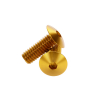 Gold Anodized Aluminum Bolt 5/16-18 Thread, Length 7/8'', 5/32'' Hex Broach