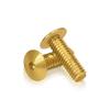 Gold Anodized Aluminum Bolt 5/16-18 Thread, length 1'', 5/32'' Hex Broach